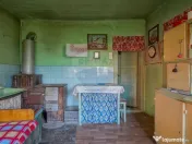 Teren intravilan 7.255 mp +casă rustică – ideal pen... 