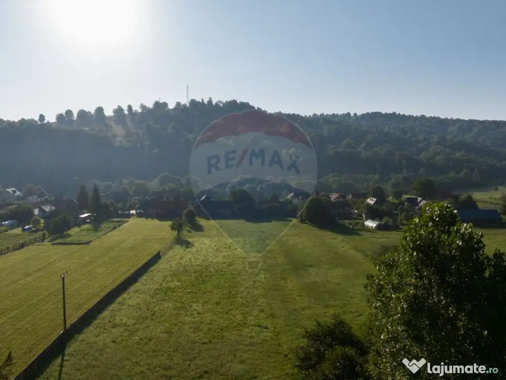 Teren intravilan 7.255 mp +casă rustică – ideal pen...