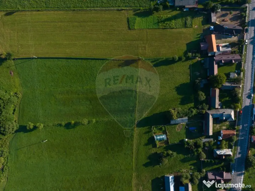 Teren intravilan 7.255 mp +casă rustică – ideal pen...