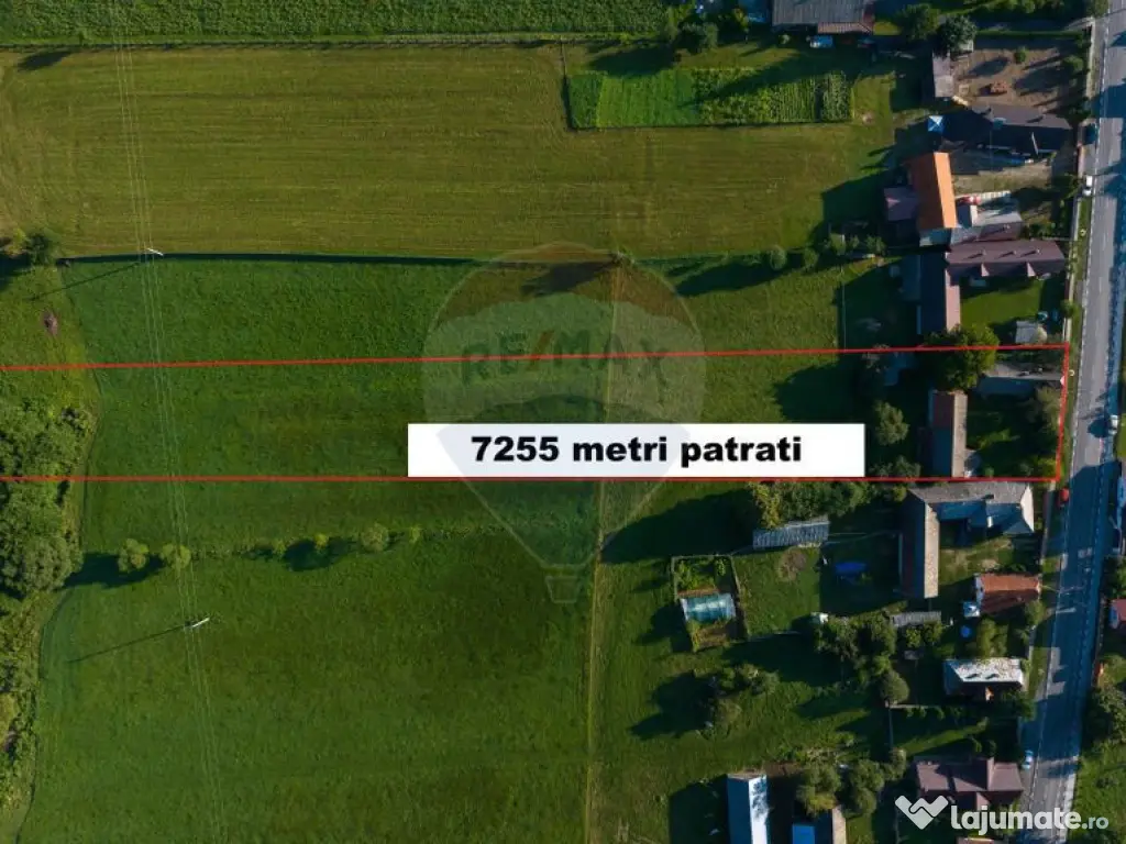 Teren intravilan 7.255 mp +casă rustică – ideal pen...