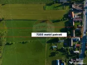 Teren intravilan 7.255 mp +casă rustică – ideal pen... 