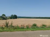 Teren extravilan Balteni la limita intravilanului 