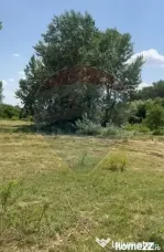 Teren-5000mp DN Ganeasa,sat Sindrilita,T9/Parcela 32/37