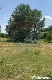 Teren-5000mp DN Ganeasa,sat Sindrilita,T9/Parcela 32/37 