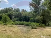 Teren-5000mp DN Ganeasa,sat Sindrilita,T9/Parcela 32/37 