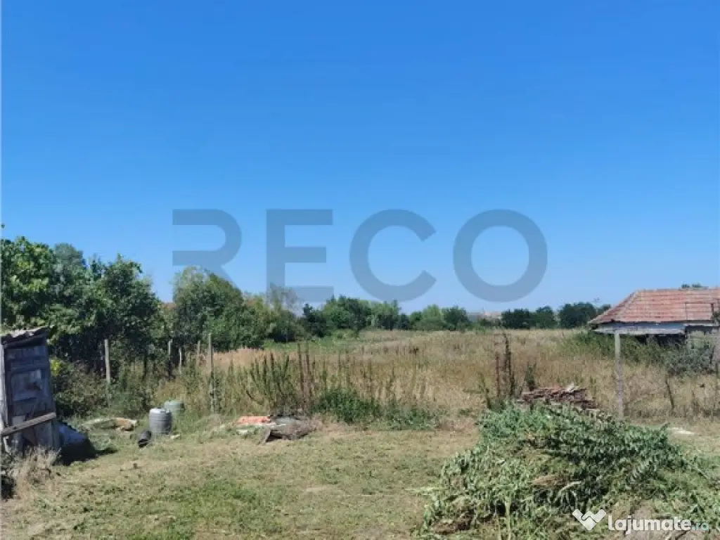 RECO Teren intravilan in Paleu la doar 22euro/mp