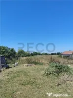 RECO Teren intravilan in Paleu la doar 22euro/mp