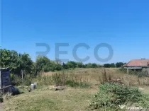 RECO Teren intravilan in Paleu la doar 22euro/mp