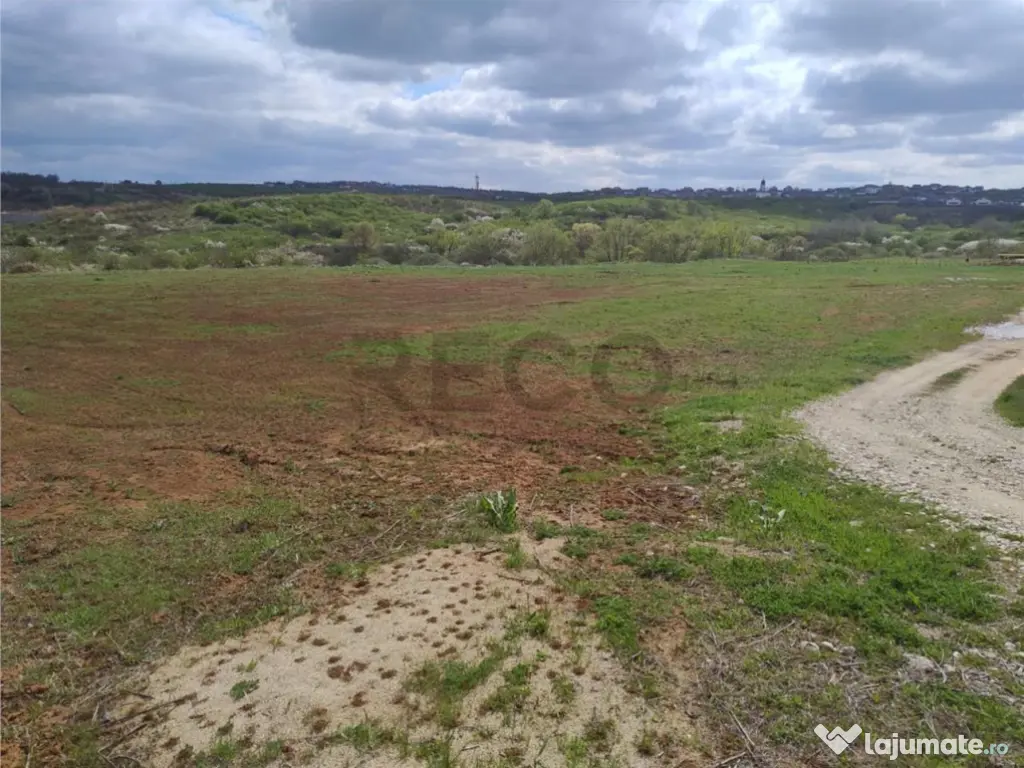 RECO Teren intravilan, Paleu