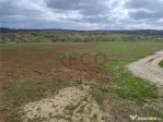 RECO Teren intravilan, Paleu
