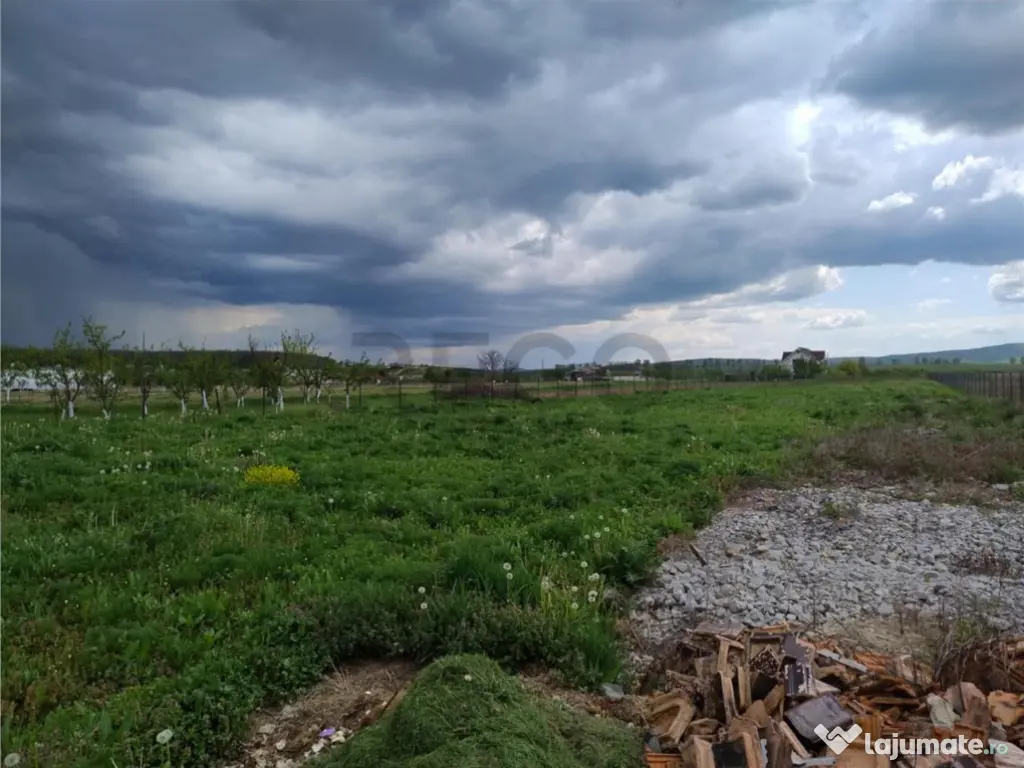 RECO Teren intravilan, Paleu