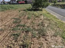 Reco Teren Extravilan Episcopia aproape de Remarkt