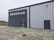 Depozit/hala/spatiu industrial Mogosoaia - Buftea 
