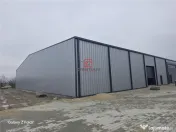 Depozit/hala/spatiu industrial Mogosoaia - Buftea 