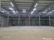 Depozit/hala/spatiu industrial Mogosoaia - Buftea 