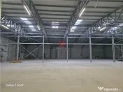Depozit/hala/spatiu industrial Mogosoaia - Buftea 
