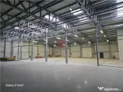 Depozit/hala/spatiu industrial Mogosoaia - Buftea 