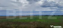 Teren extravilan de vanzare, 21.750 mp, Satu Mare