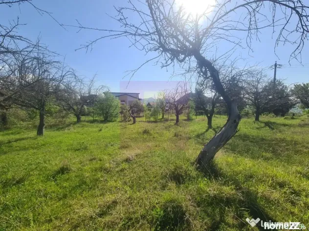 Teren de vanzare in Campina in zona retrasa