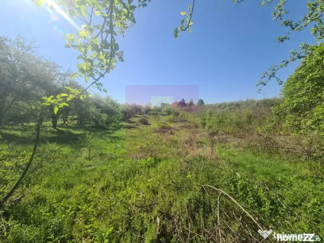 Teren de vanzare in Campina in zona retrasa
