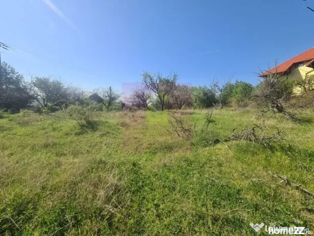 Teren de vanzare in Campina in zona retrasa