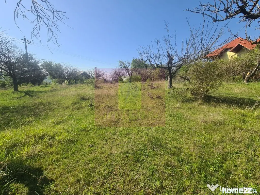 Teren de vanzare in Campina in zona retrasa - Campina (Prahova)