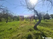 Teren de vanzare in Campina in zona retrasa 