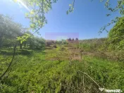 Teren de vanzare in Campina in zona retrasa 