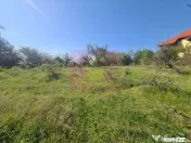 Teren de vanzare in Campina in zona retrasa 