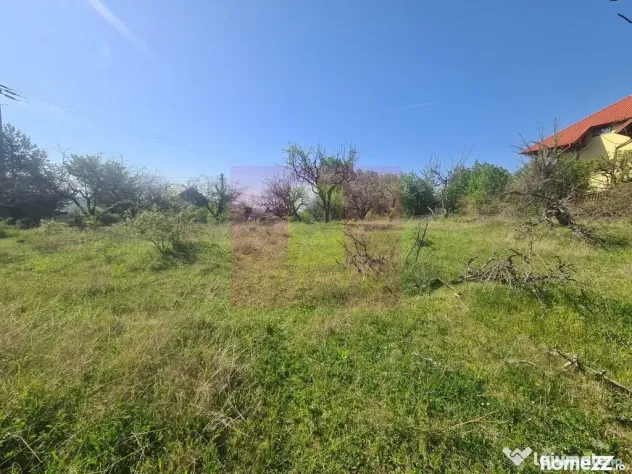 Teren de vanzare in Campina in zona retrasa - Campina (Prahova)