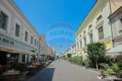De vânzare — Spațiu comercial parter 409 mp, Vasile A... 