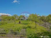 Spatiu Comercial/Afacere si casa de vânzare/zarnesti/Brasov 