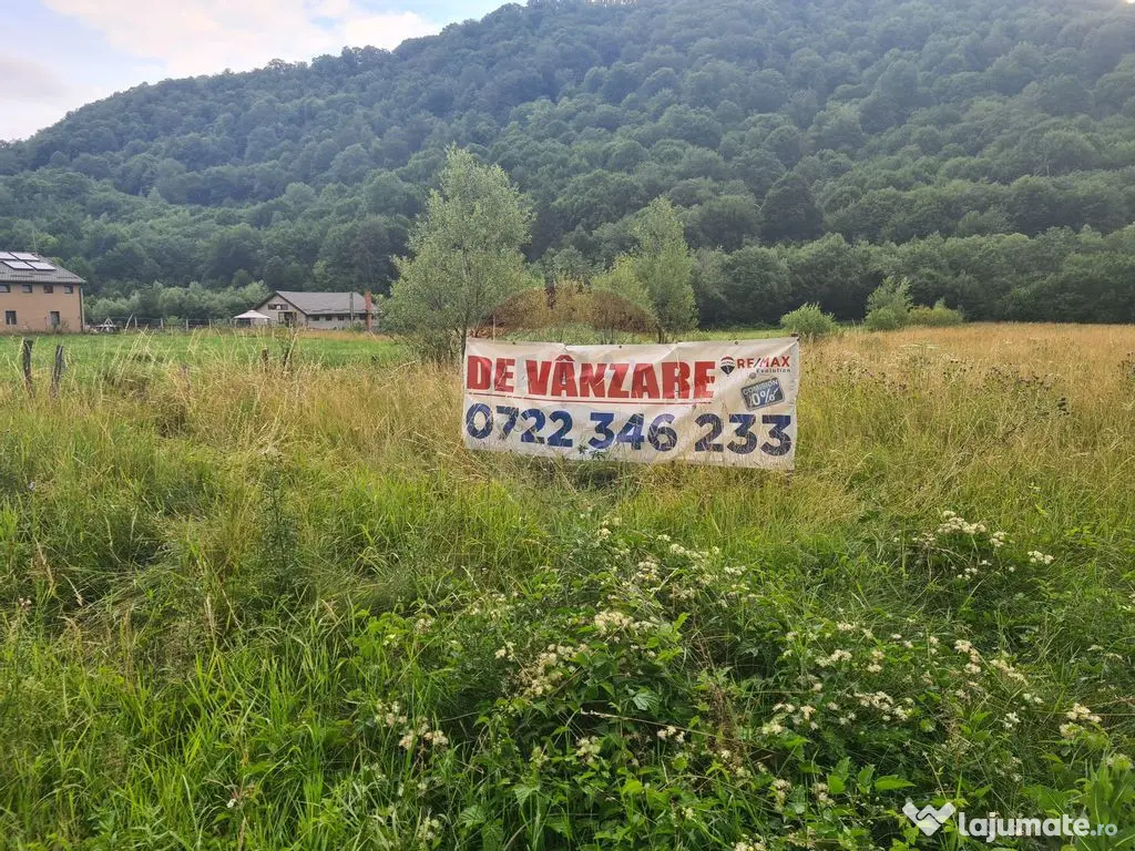 Teren extravilan, 2500 mp, Râşnov, Glăjărie