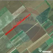 Teren 22,269mp Nuci / Strada principala