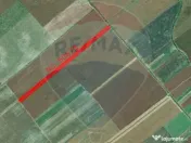 Teren 22,269mp Nuci / Strada principala 