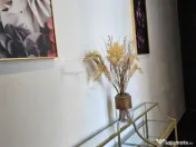 Casa de birouri de inchiriat 11 camere 