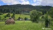 Casa 225 mp, teren intravilan 4822 mp C. Moldovenesc, Suc... 