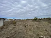 Domnești, Drumul Târgului, teren 1876 mp, 66ml x 28 ml, se 