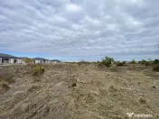 Domnești, Drumul Târgului, teren 1876 mp, 66ml x 28 ml, se 