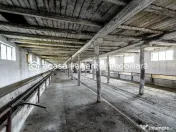 Fermă Mândruloc 2,5 ha 