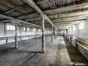 Fermă Mândruloc 2,5 ha 