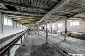 Fermă Mândruloc 2,5 ha 
