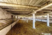 Fermă Mândruloc 2,5 ha 