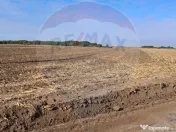 Teren 21,177mp Santaul Mic / Strada - 