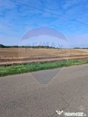 Teren 21,177mp Santaul Mic / Strada -
