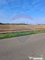 Teren 21,177mp Santaul Mic / Strada -