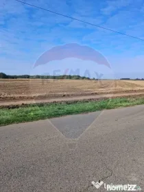 Teren 21,177mp Santaul Mic / Strada -