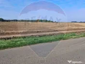 Teren 21,177mp Santaul Mic / Strada - 