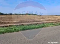 Teren 21,177mp Santaul Mic / Strada -