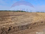 Teren 21,177mp Santaul Mic / Strada - 